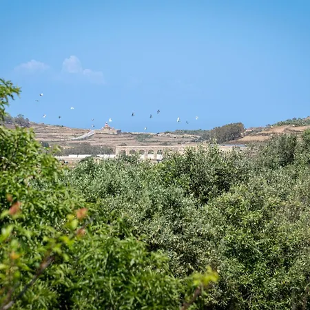 L-ghorfa Taz-zebbuga *